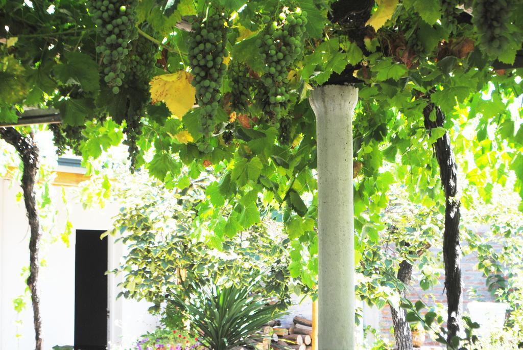 Hostal Petit Verdot Santa Cruz Extérieur photo